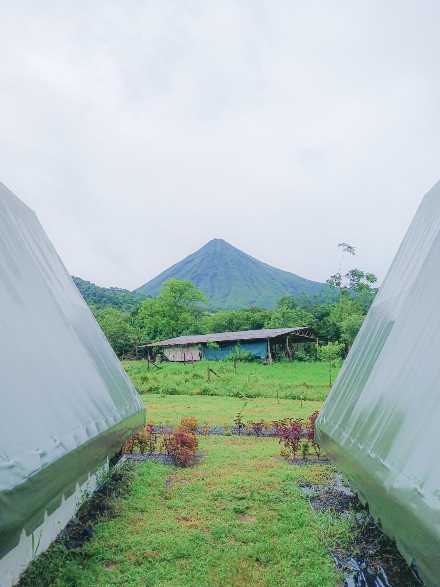 Willa Flora Glamping De Abuela La Fortuna Zewnętrze zdjęcie