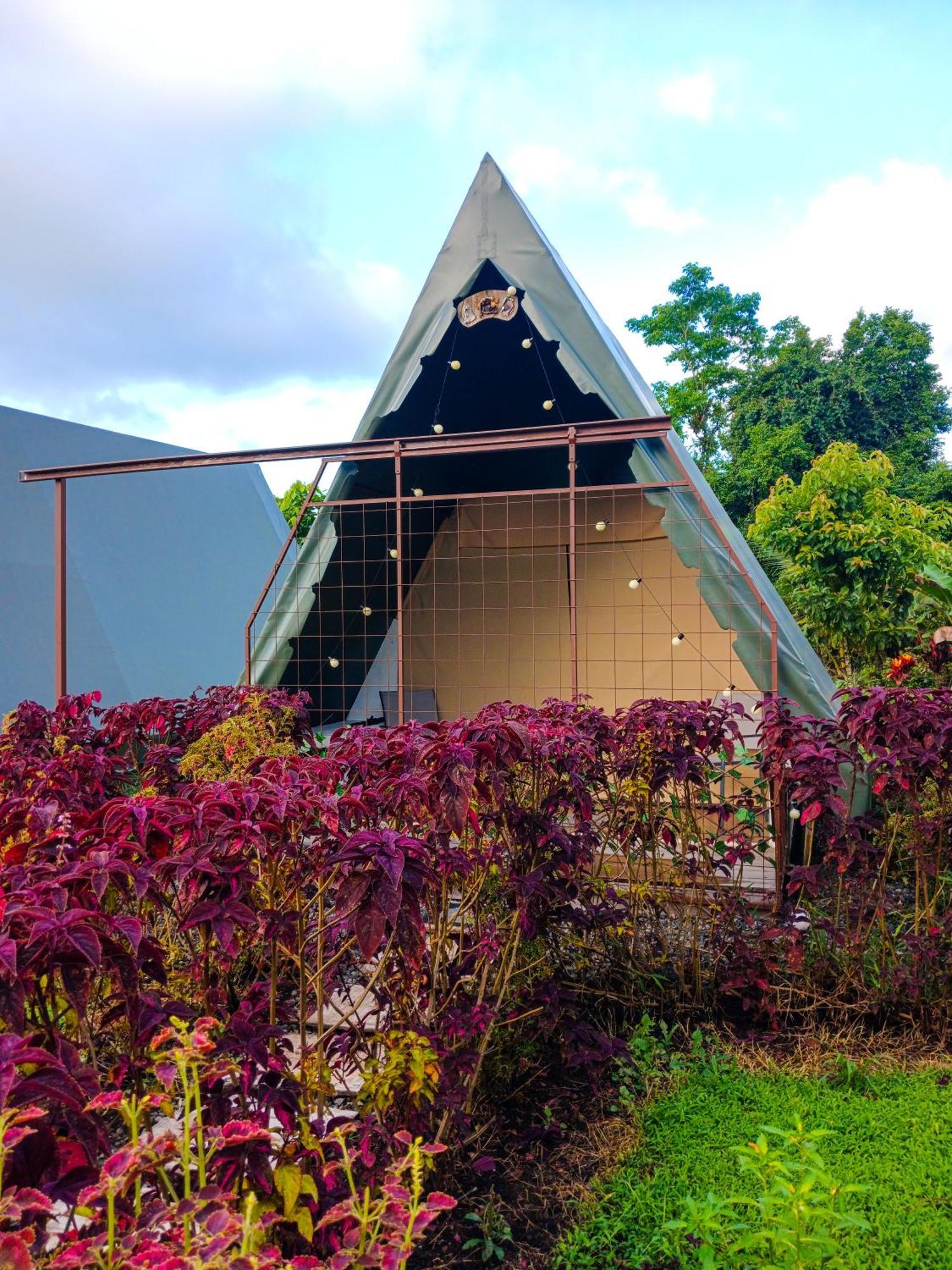 Willa Flora Glamping De Abuela La Fortuna Zewnętrze zdjęcie